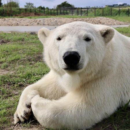 Chic 2 Bed Peak District Cottage Barn Near Alton Towers, Polar Bears, Chatsworth House Leek Eksteriør bilde