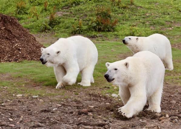 Chic 2 Bed Peak District Cottage Barn Near Alton Towers, Polar Bears, Chatsworth House Leek Eksteriør bilde